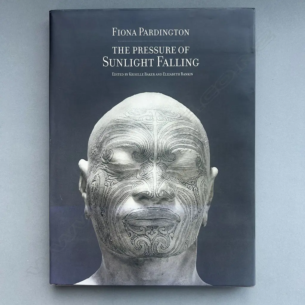 FIONA PARDINGTON: THE PRESSURE OF SUNLIGHT FALLING Image 1++